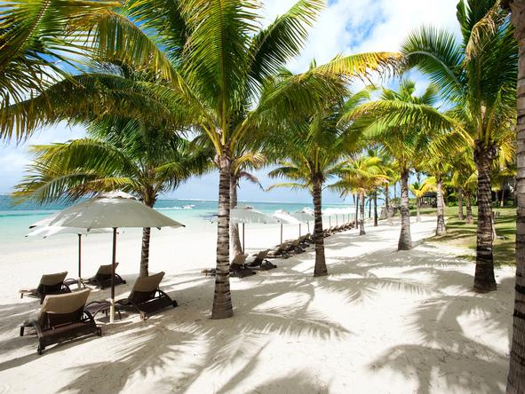 The Residence Mauritius - tropical palms on the beach